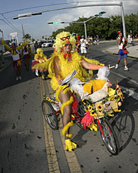 Chicken Fest Key West 2004 photo - Duval Street, Key West